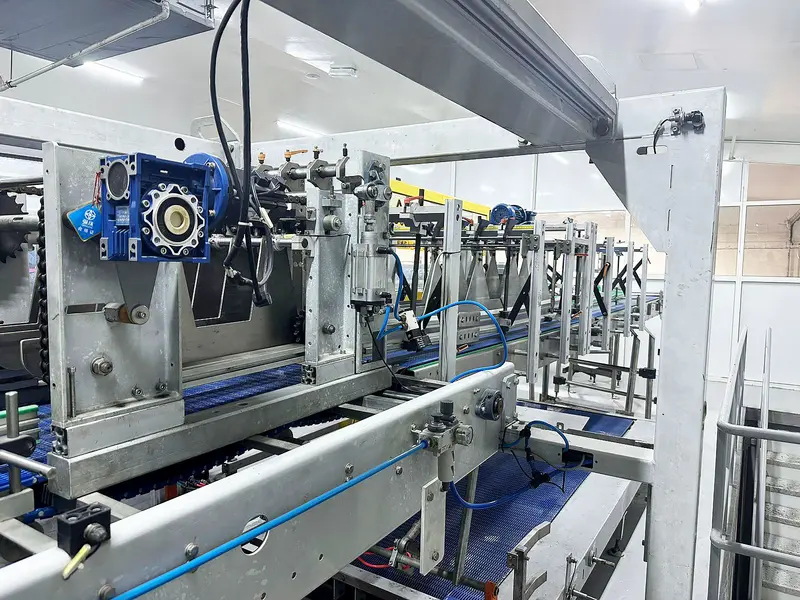 Photo #6 of Used automatic wrap around packer Vanta 2100 bph
