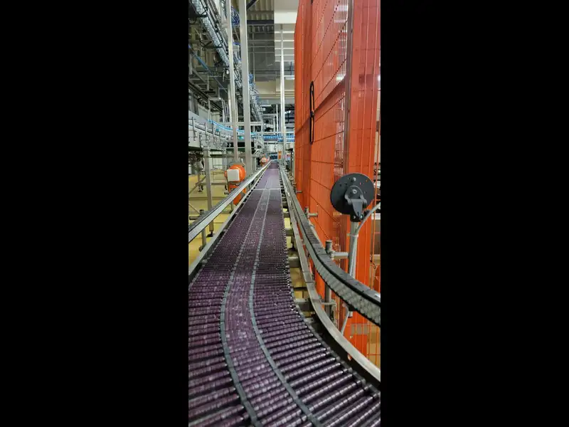 Photo #7 of Used End-of-line system for PET bottles 37800 bph