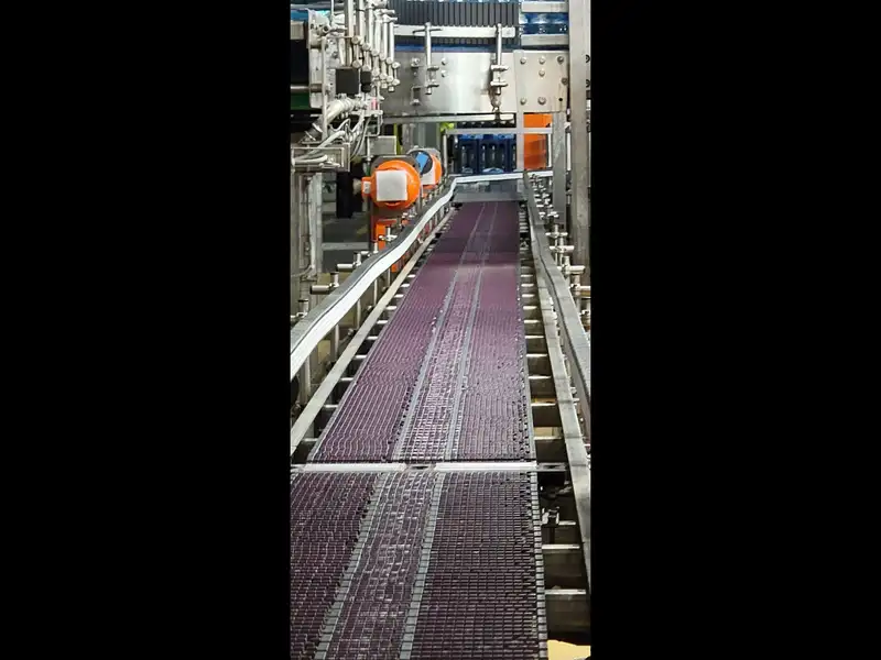 Photo #9 of Used End-of-line system for PET bottles 37800 bph